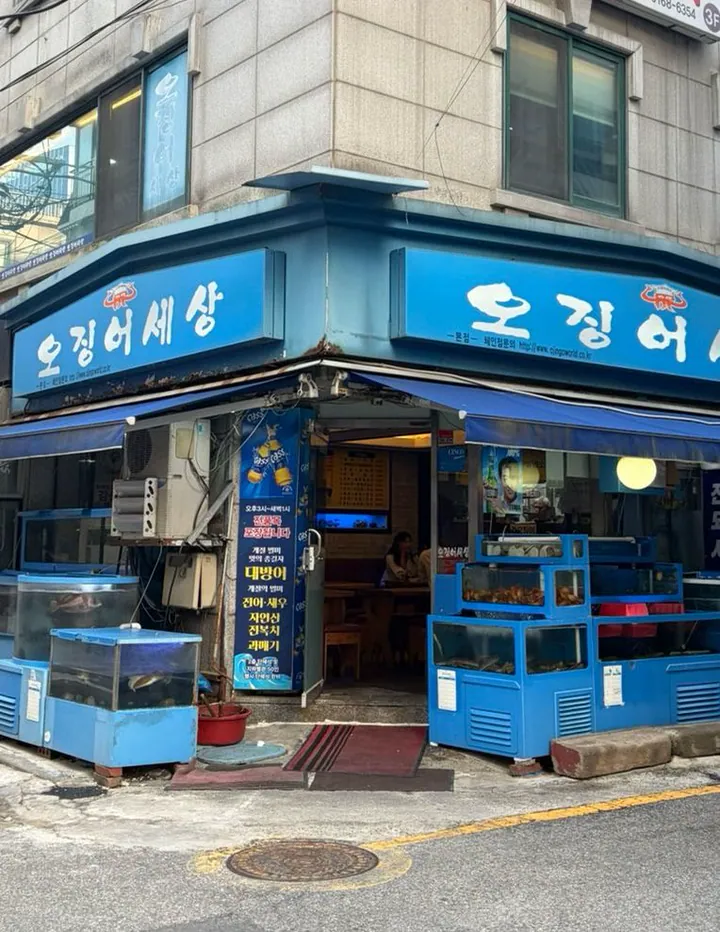 오징어세상